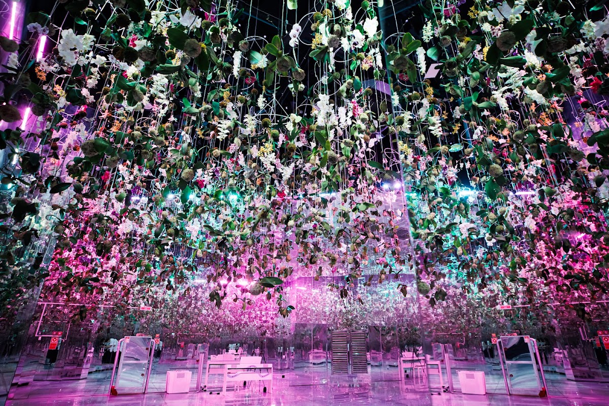Networking Garden