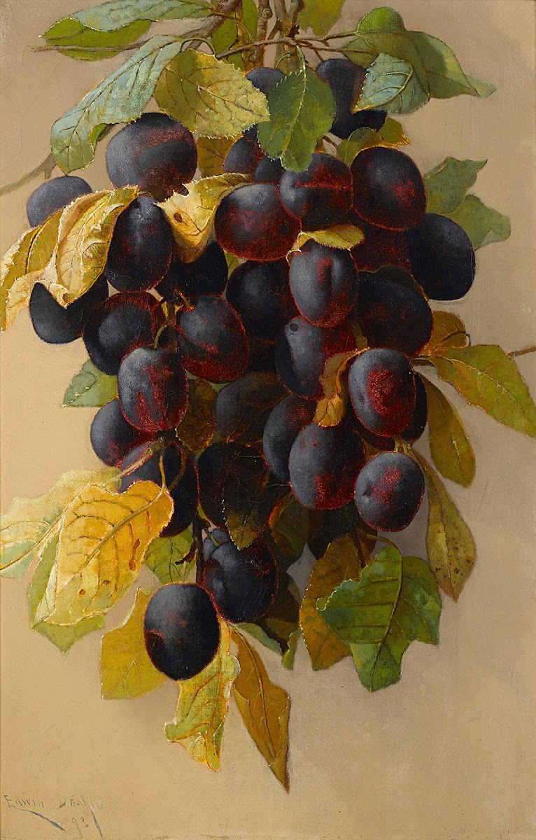 A still life with plums 1893