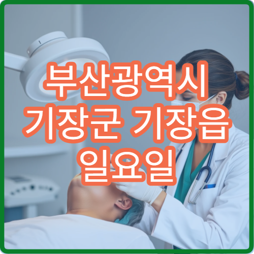 부산광역시 기장군 기장읍 일요일 감기 내과 진료 병원 안내
