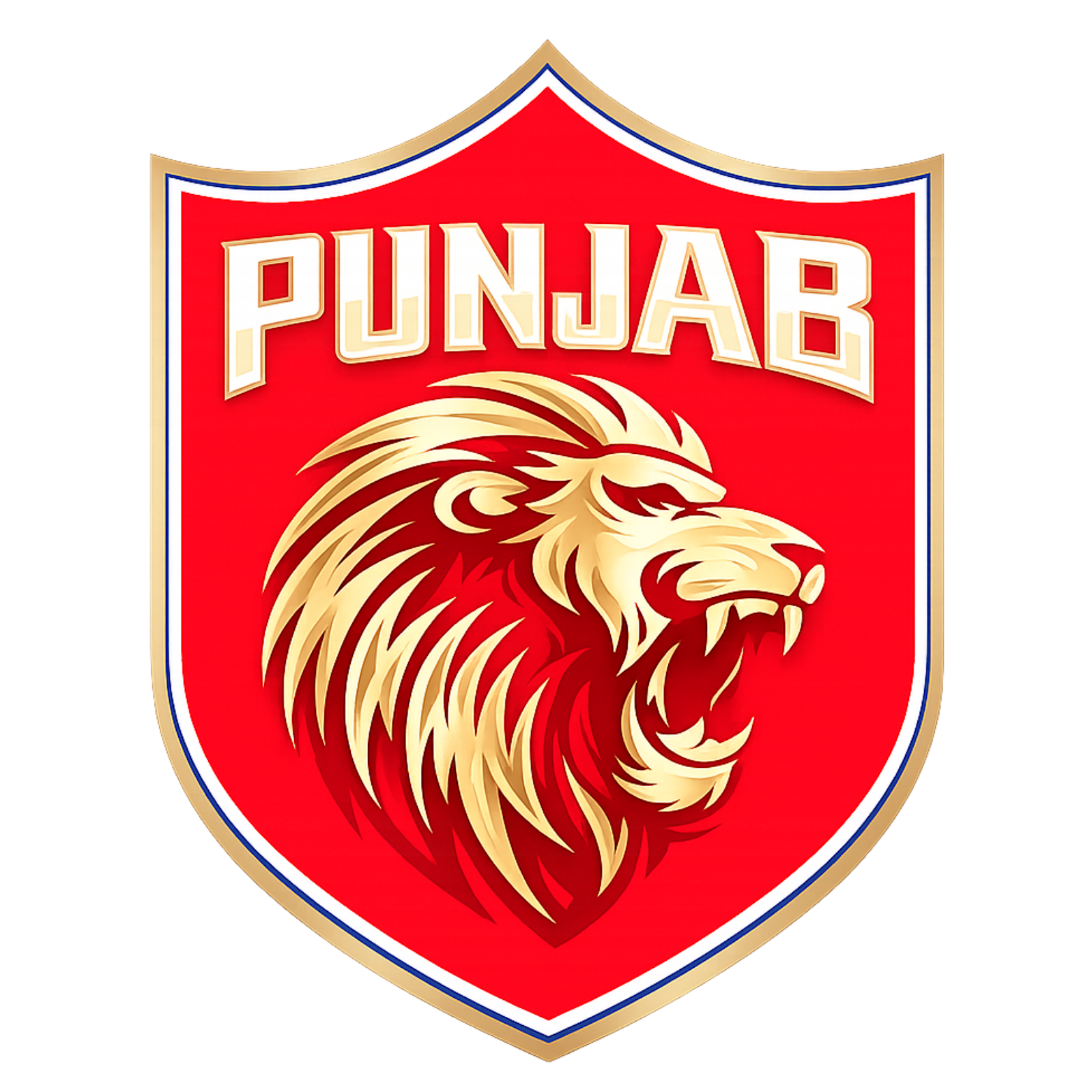PBKS logo