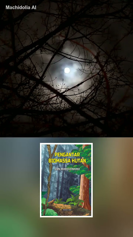 Buku Pengantar Biomassa Hutan