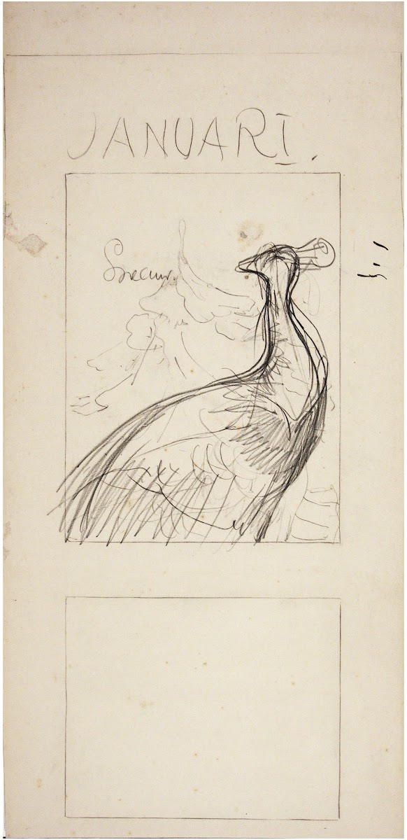 Pauw januari 1902