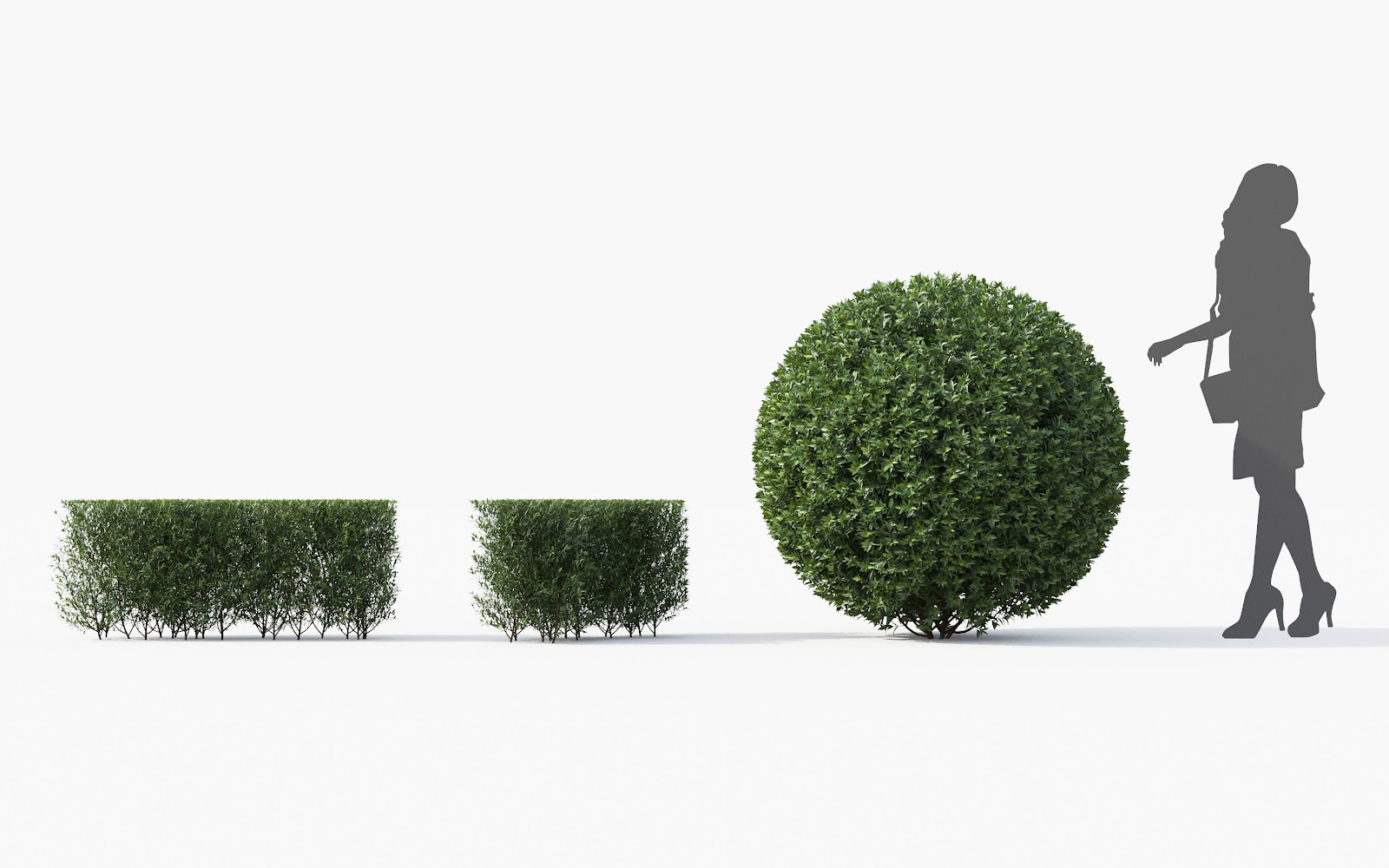 Maxtree - Plant Models Vol.28