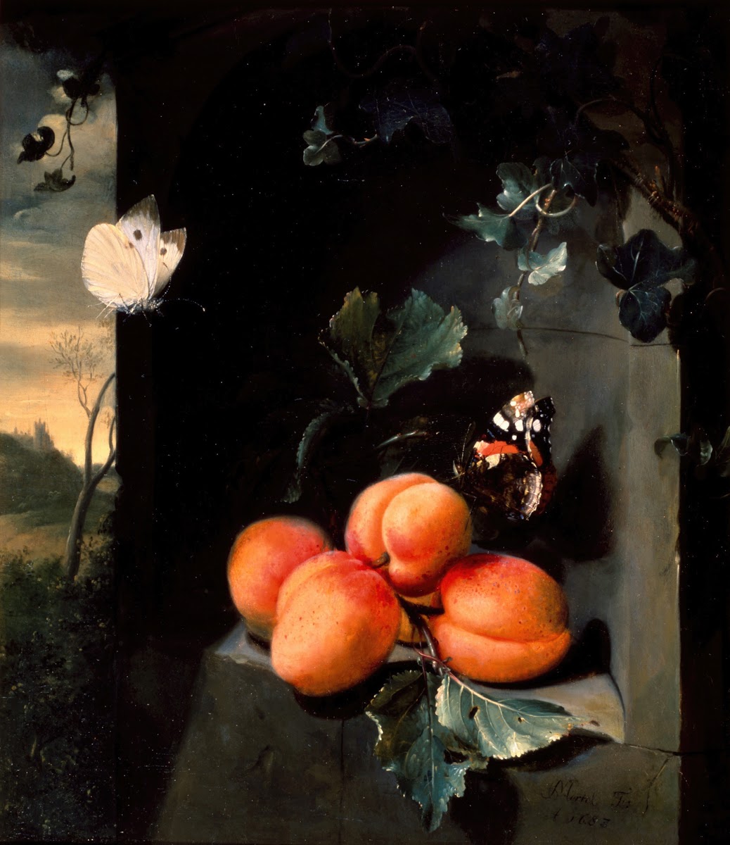 Still Life with Apricotes and Butterflies 1683