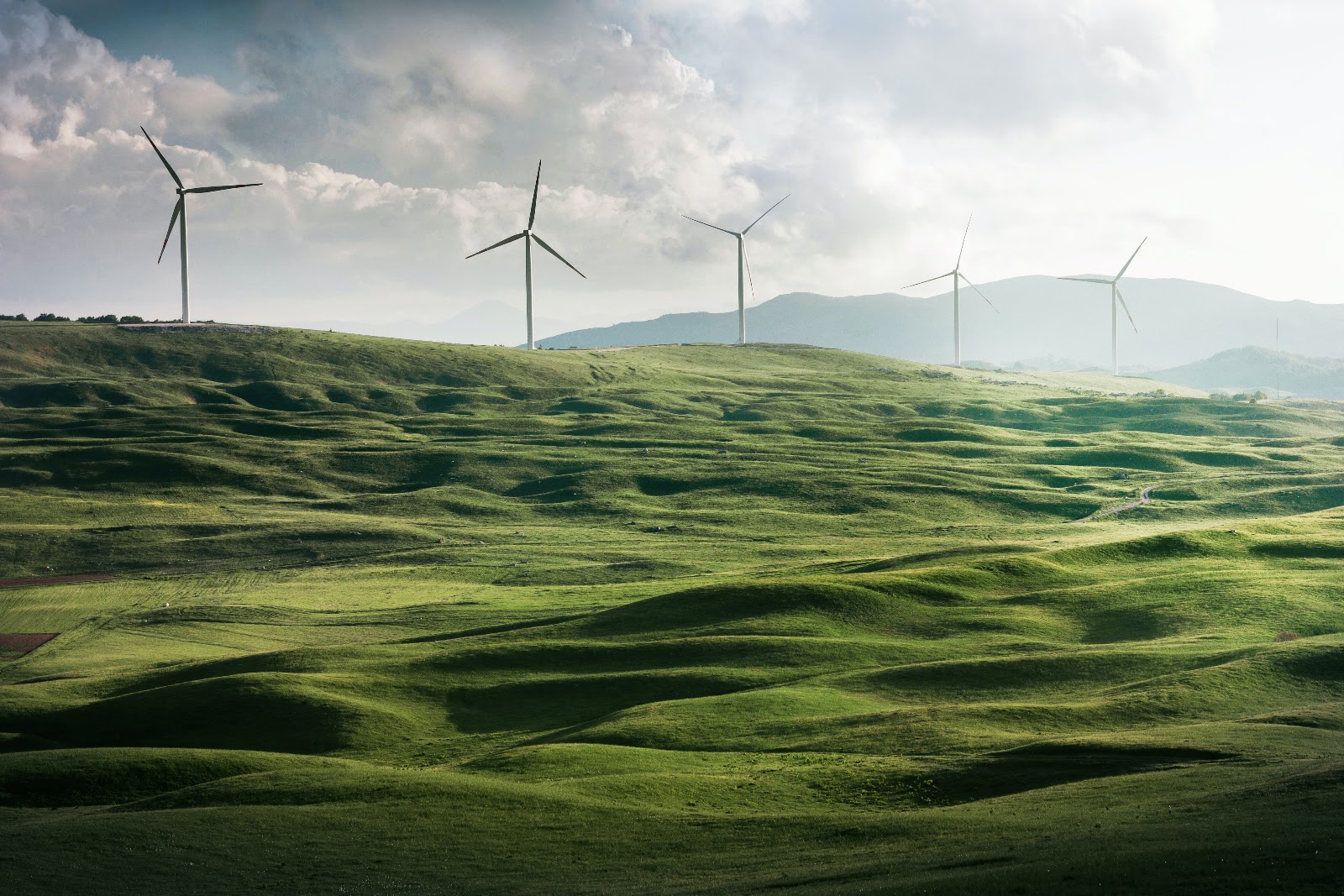 Technosalvation is the belief that technology alone can solve climate change that causes many people to become more passive in their actions. dragons of inaction, Technosalvation environment, climate change action. CarbonEthics Indonesia