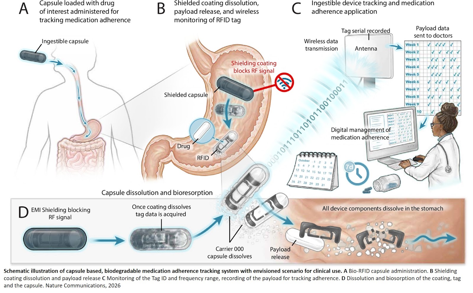 Bioresorbable RFID capsule for assessing medication adherence