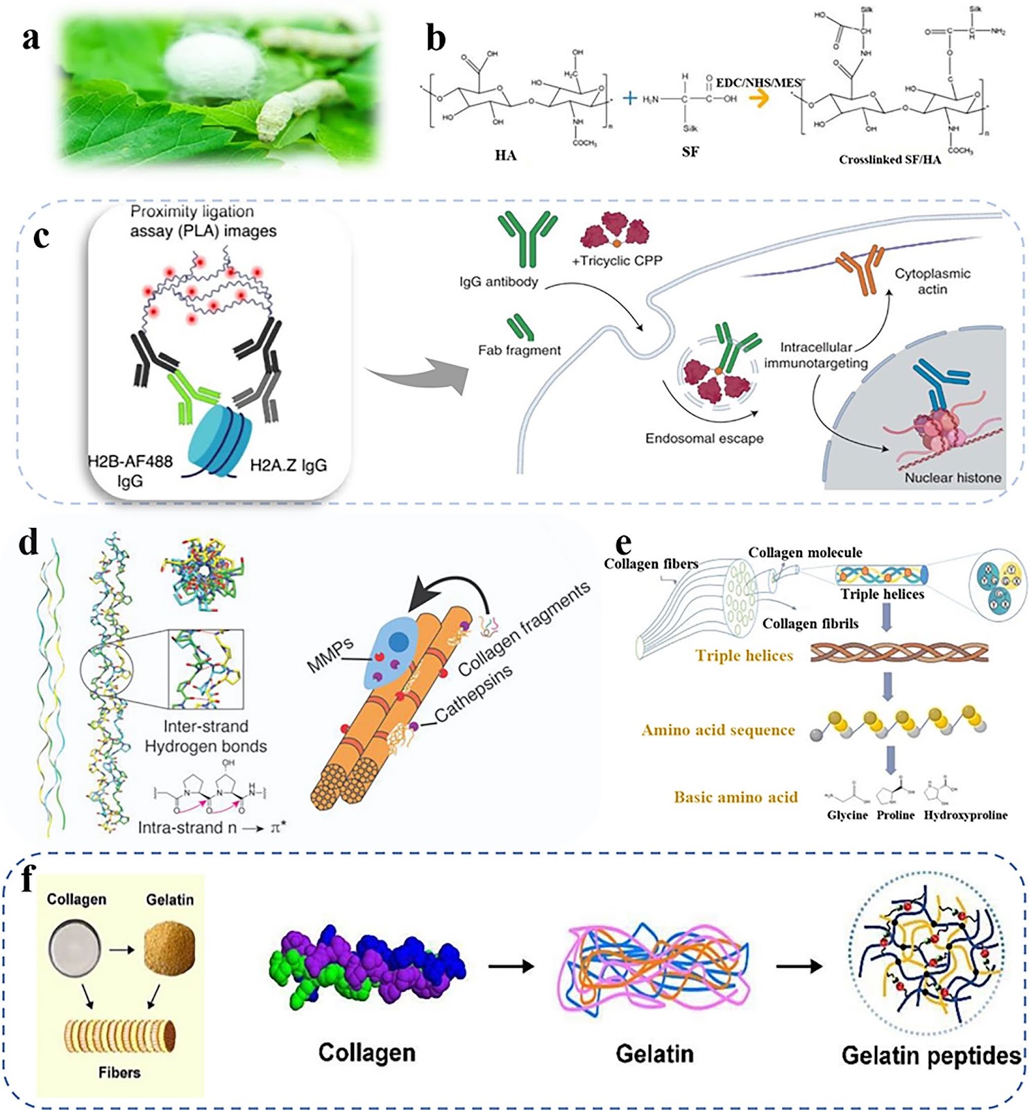 Sustainable Materials Enabled Terahertz Functional Devices
