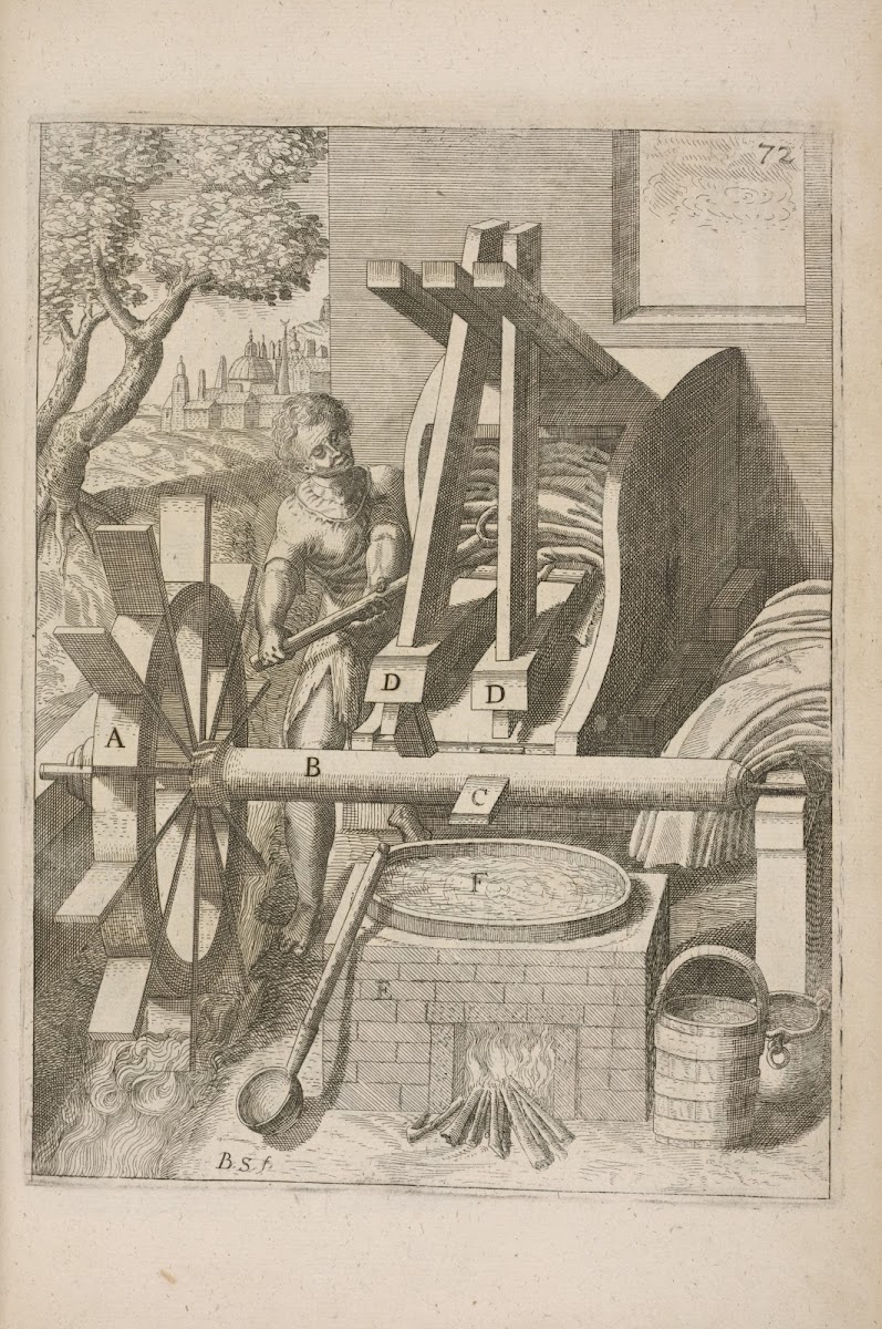 Fig LXXII Gnaphicomylos sive pannum constipans mola 1662