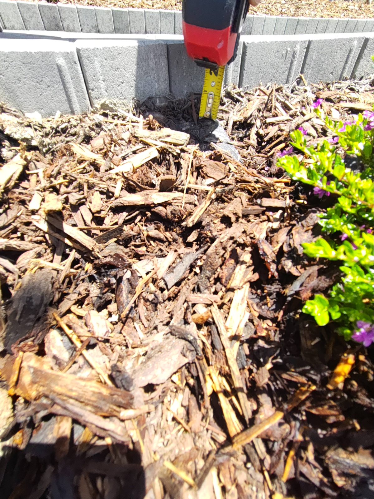 Incomplete installation — missing mulch and defects — June 2022