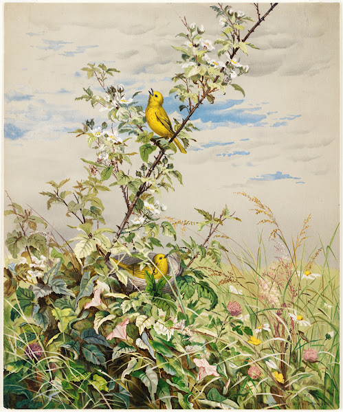 June 1876