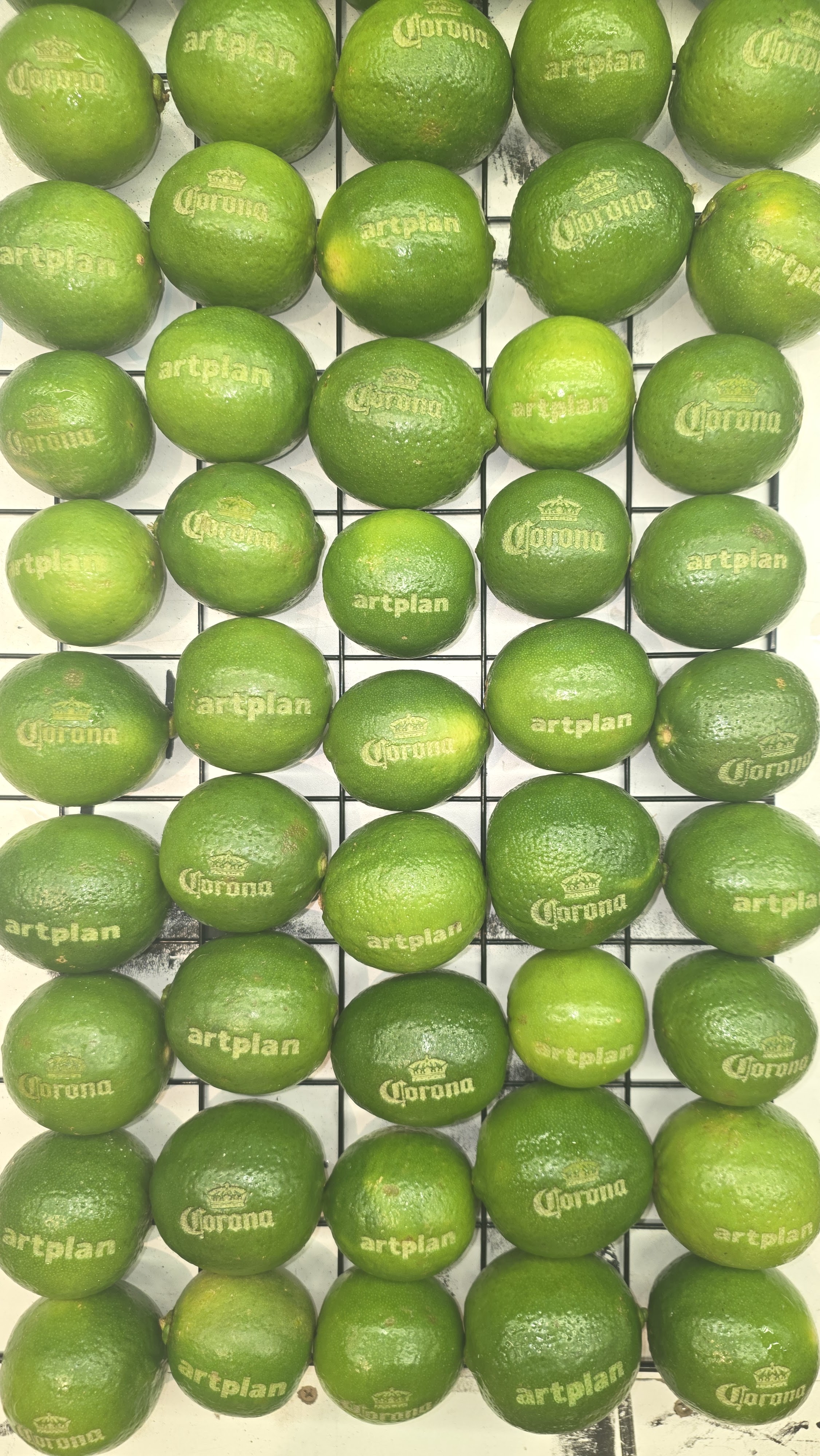 Grade com dezenas de limões verdes com os logotipos da Corona e Artplan gravados a laser, mostrando a produção em escala.