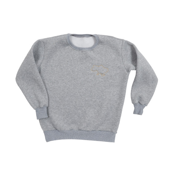 Свитшот женский Twins утепленный с вышивкой серый S