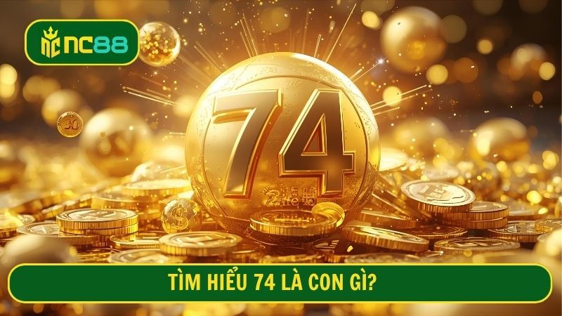 Tìm hiểu 74 là con gì?
