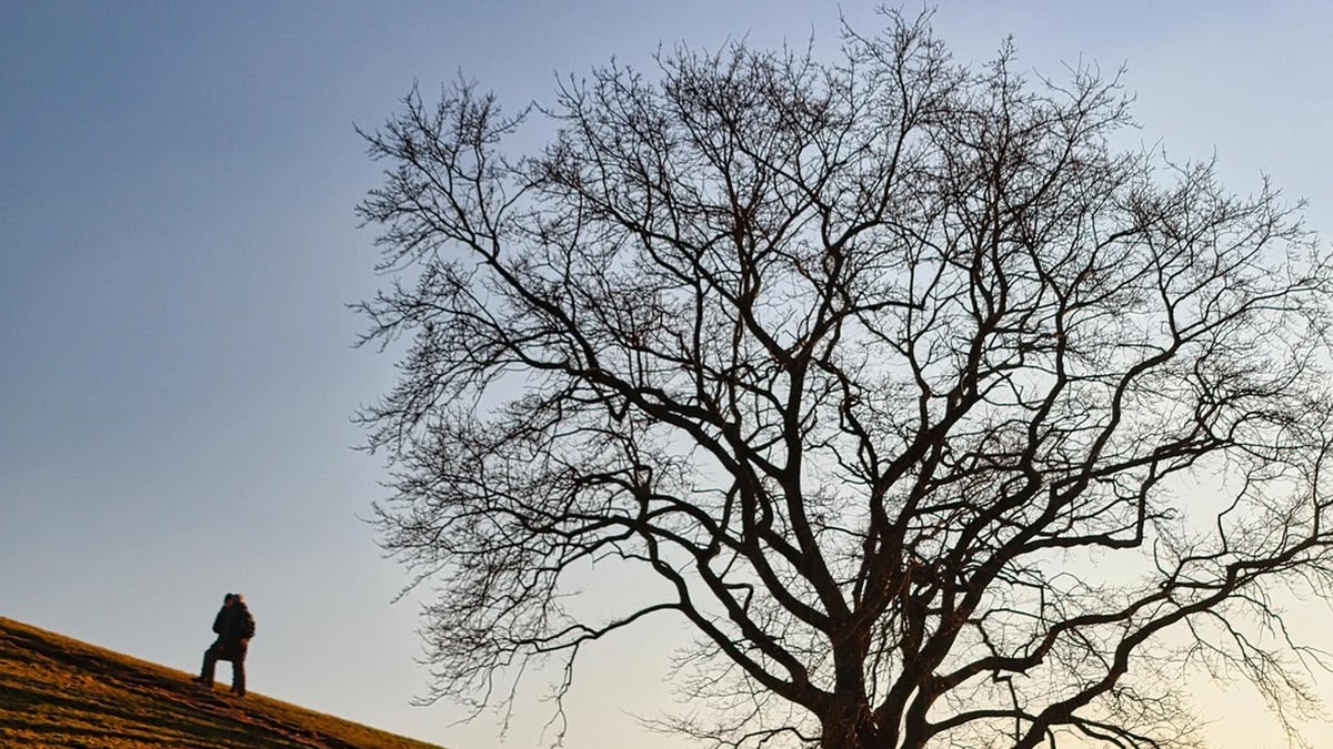 올림픽 종목 추가 기준과 선정 과정 상세 이해