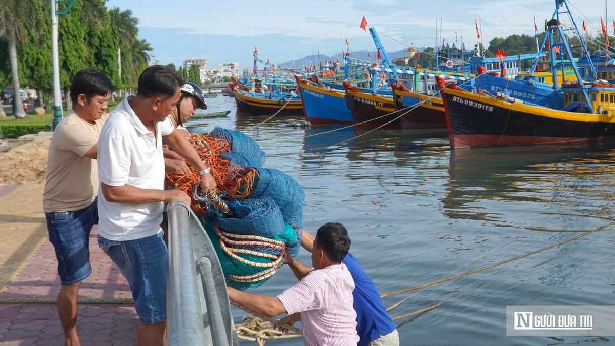 Chủ tàu 'đỏ mắt' tìm bạn thuyền, nghề biển đối mặt bài toán thiếu lao động - Tạp chí Người Đưa Tin