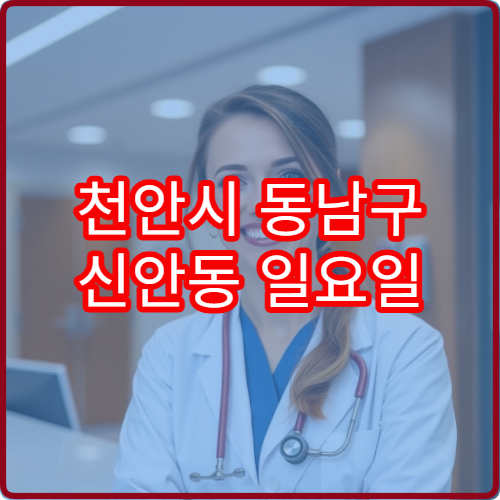 천안시 동남구 신안동 일요일 치과 진료 병원 임플란트 상담 가능 여부