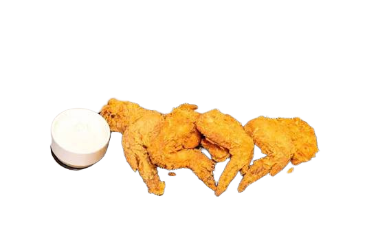 2 pcs chicken & 3 wings