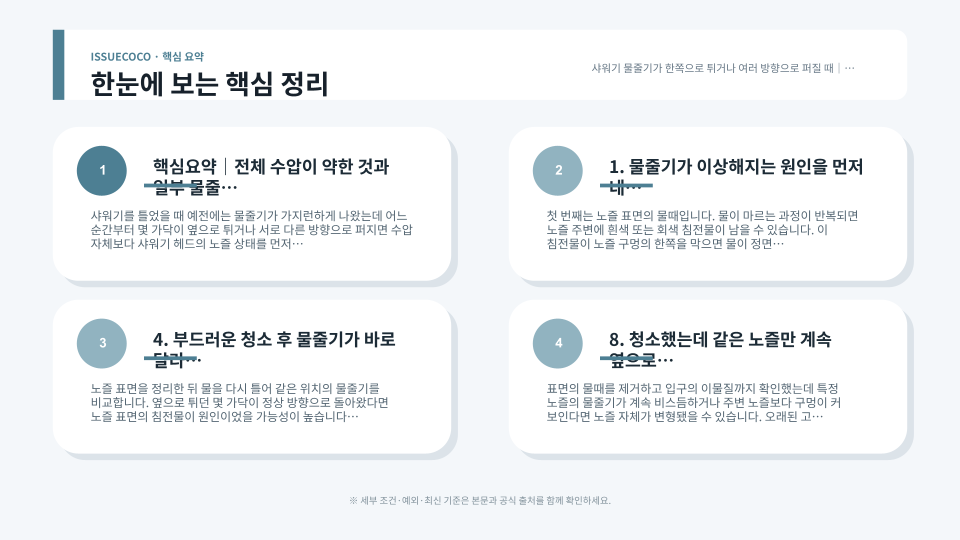 샤워기 노즐의 물때와 이물질을 점검하고 부드럽게 청소하는 과정