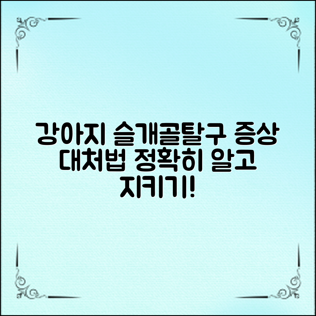 강아지슬개골탈구, 증상과 대처법 안내