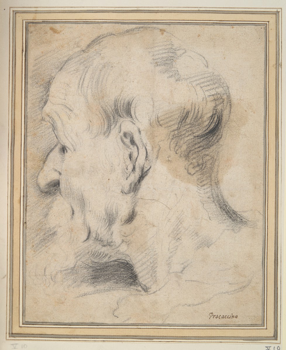 Head of an Old Man inProfile 17thcentury