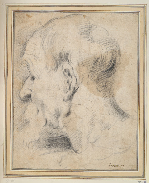 Head of an Old Man inProfile 17thcentury