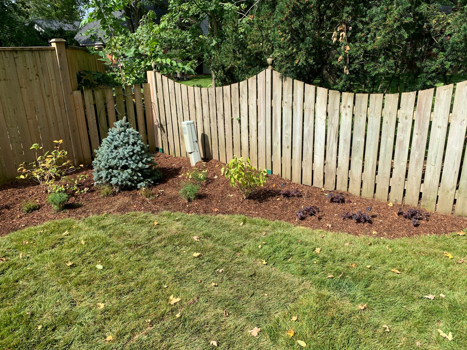 Lawn fertilization and aeration service in London, Ontario