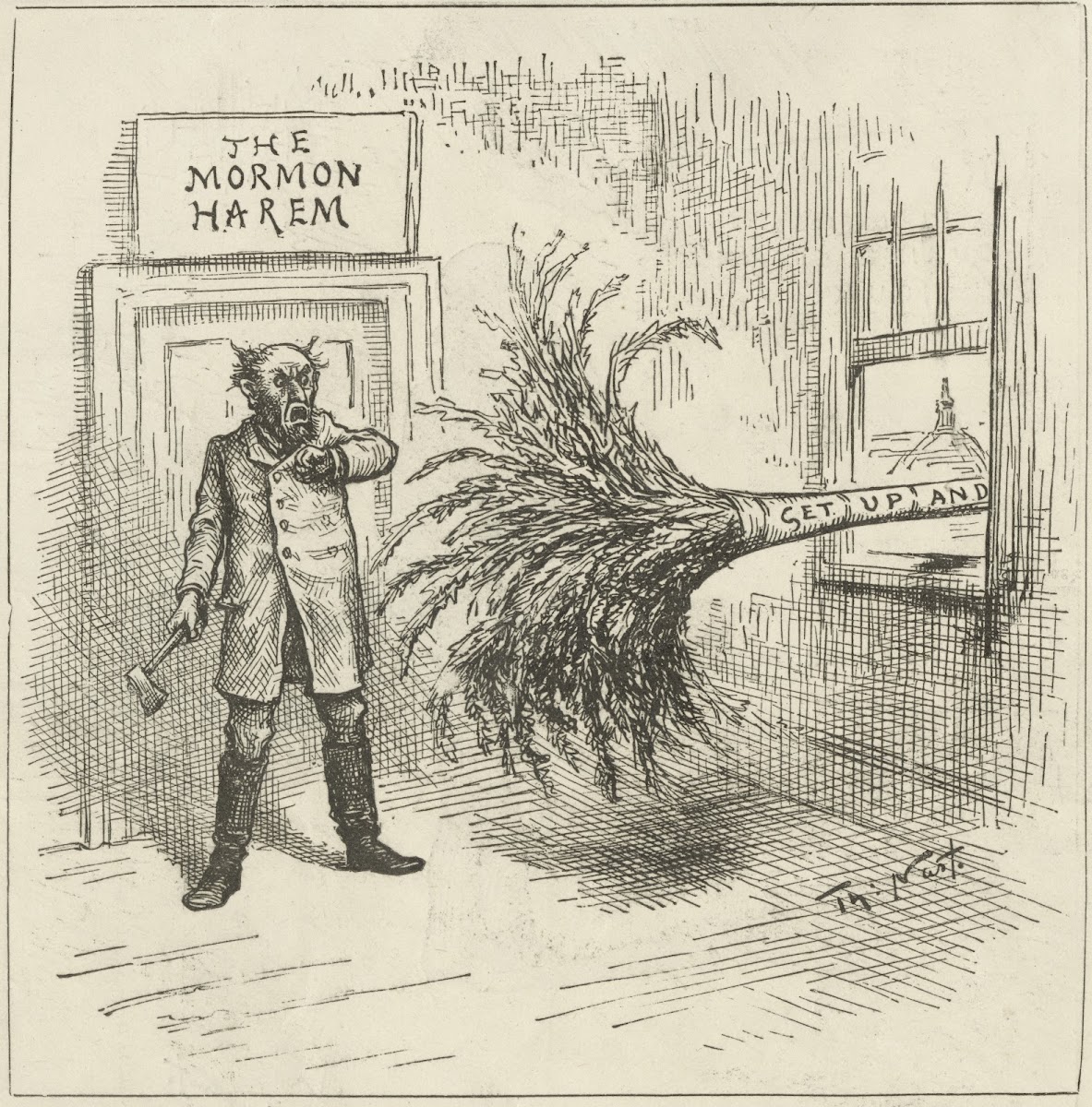 The house that needs dusting very much 1885