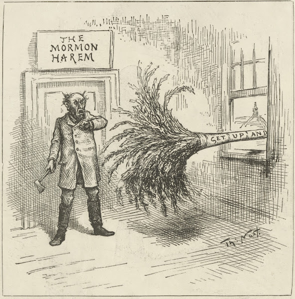 The house that needs dusting very much 1885