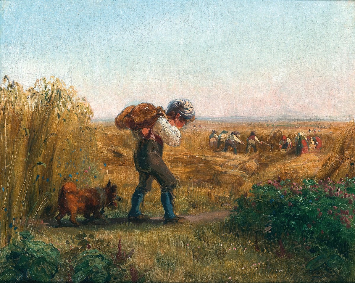 A Boy on the Way to the Field