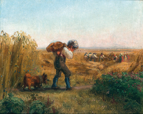 A Boy on the Way to the Field