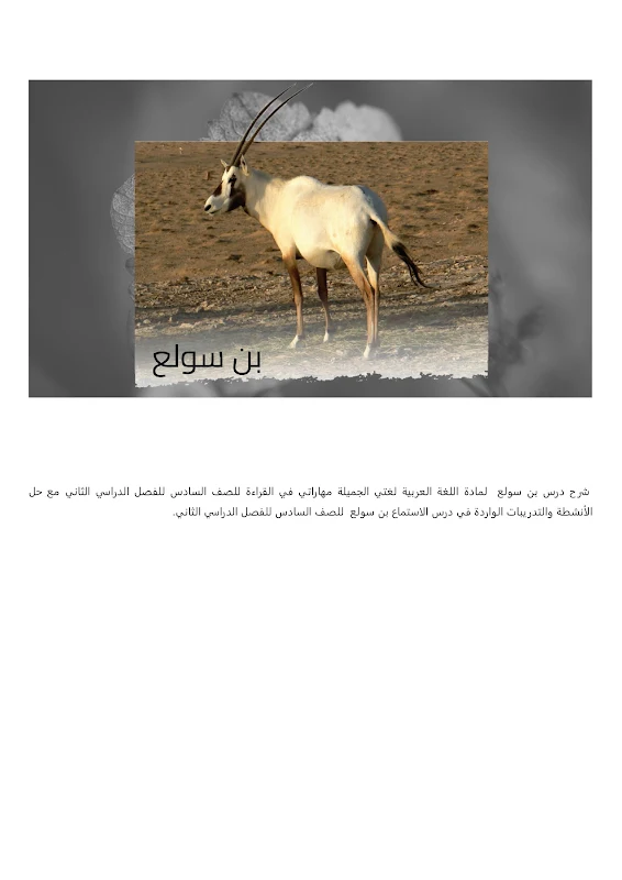 صورة الغلاف