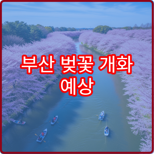 부산 벚꽃 개화 예상 언제 부산 봄꽃 절정 시기 안내