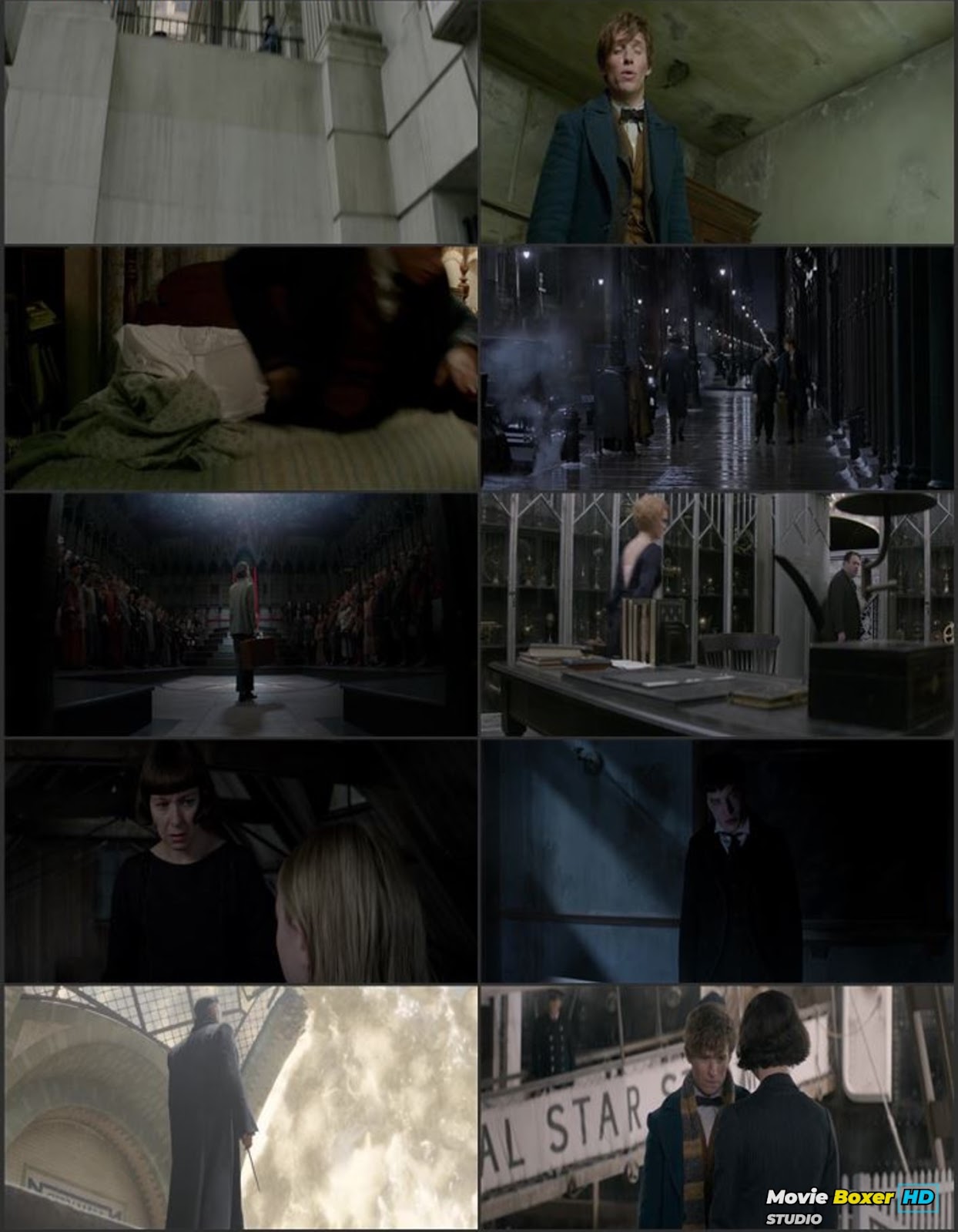 Screenshots Grid
