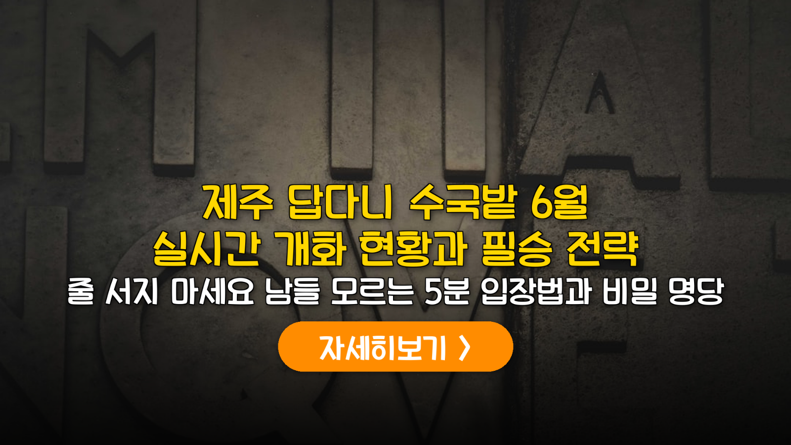 제주 답다니 수국밭 6월 개화 및 실패 없는 방문 가이드