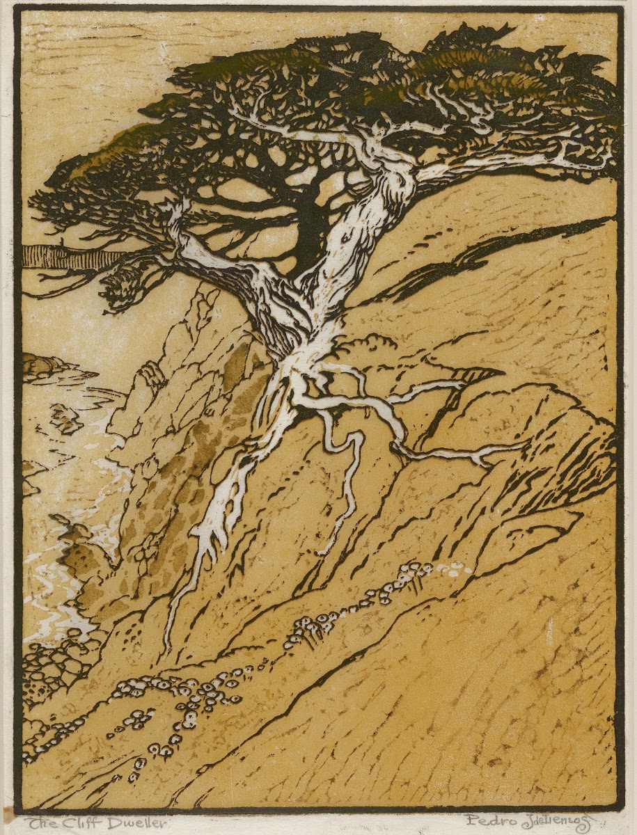 The Cliff Dweller c 191520