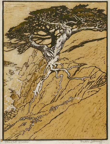 The Cliff Dweller c 191520