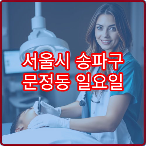 서울시 송파구 문정동 일요일 정형외과 진료 병원 허리 통증