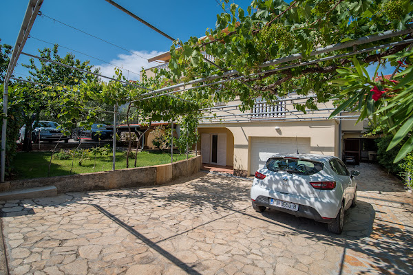 Driveway and parking under the grapevine trellis.