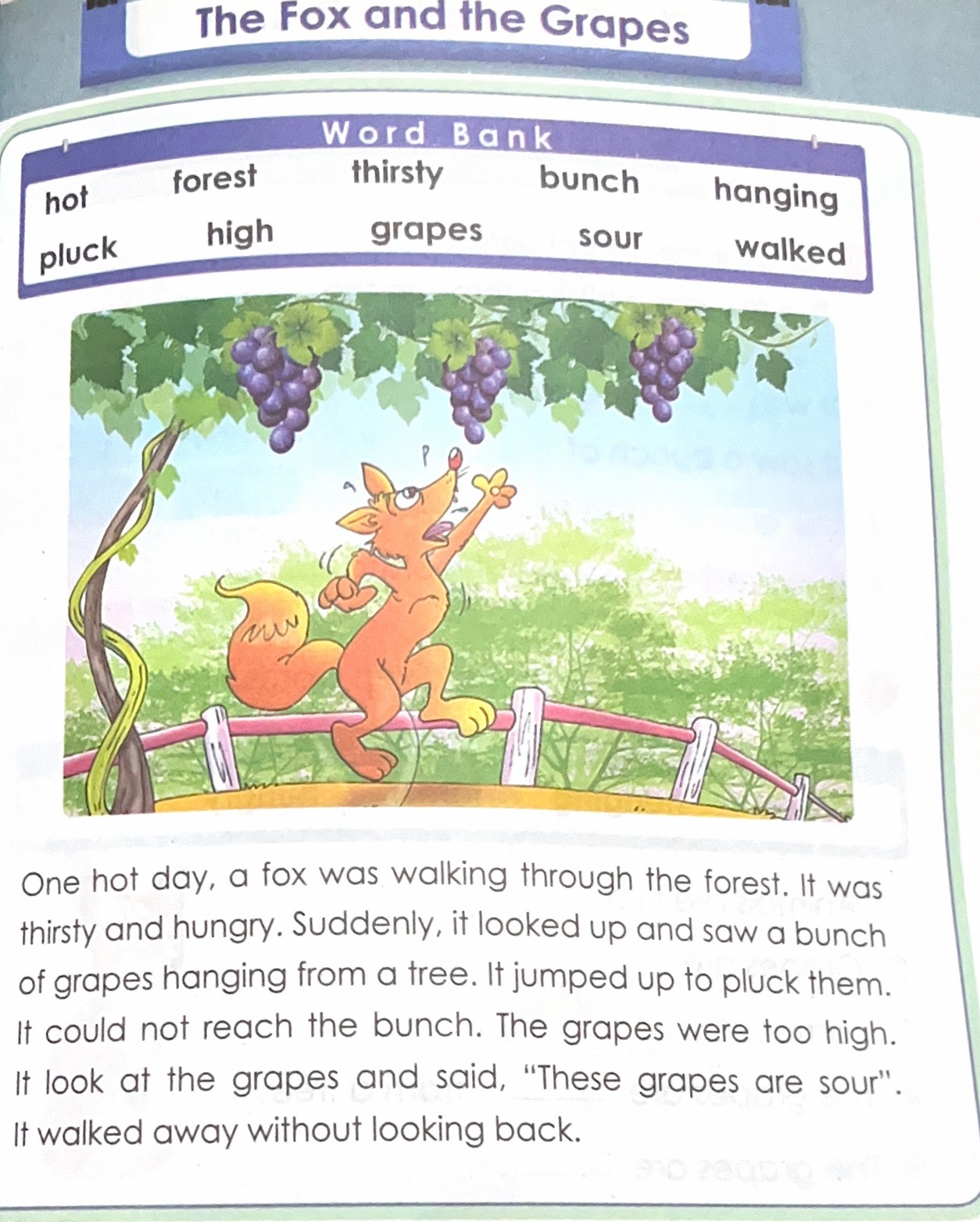 English Book C - Activity Book