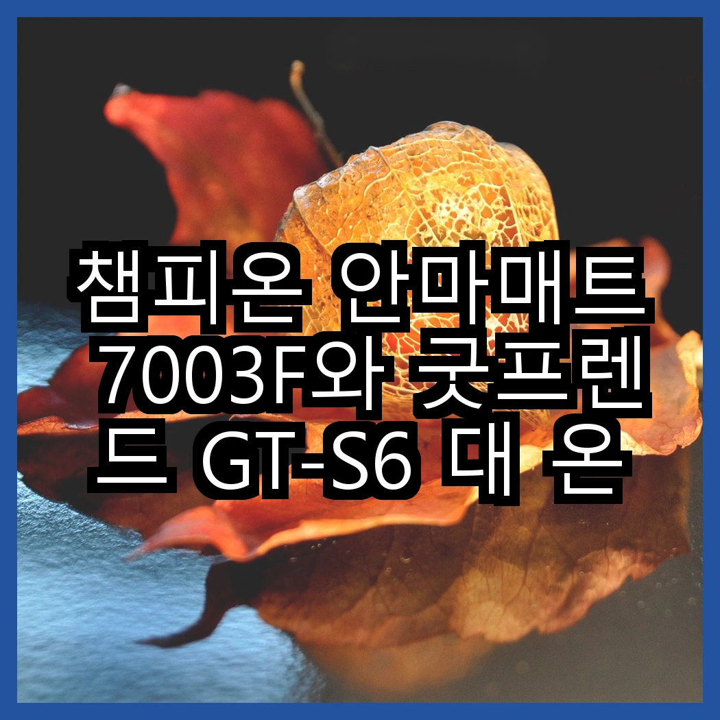 챔피온 안마매트 7003F와 굿프렌드 GT-S6 대 온열 기능의 차별점은? 썸네일