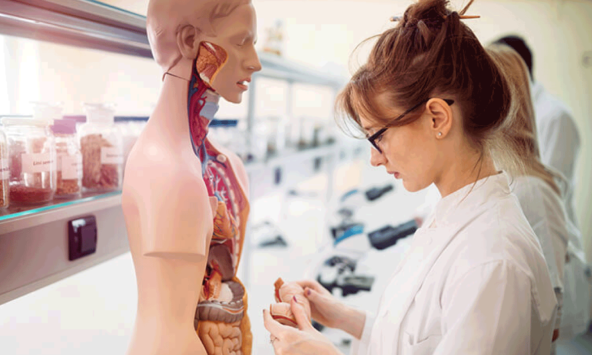 Sanidad y educación: La importancia de potenciar las habilidades humanas en la formación universitaria