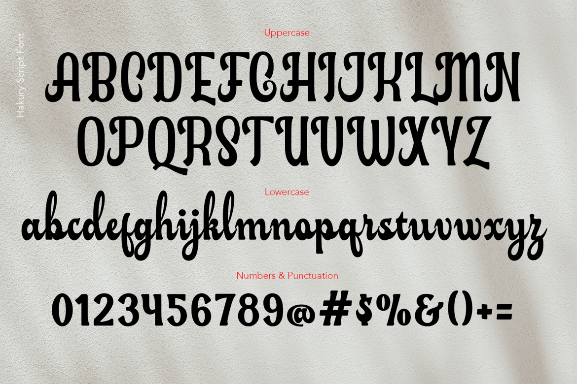 Hakury Script - Đồ Hoạ Vip