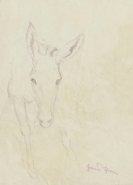 Study of a donkey depicted from the front 1860   1924