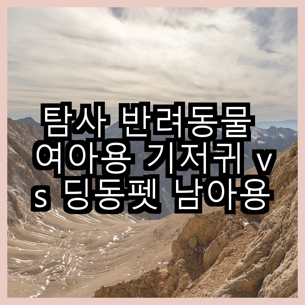 탐사 반려동물 여아용 기저귀 vs 딩동펫 남아용 절약 기저귀, 어떤 선택이 더 편리할까? 썸네일