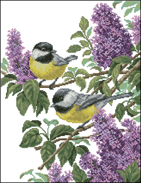 CMP M227 Charming Lilac