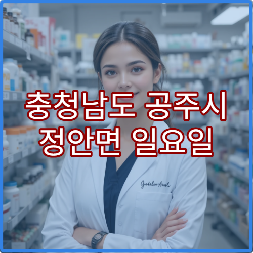 충청남도 공주시 정안면 일요일 약국 운영시간 위치 정리 확인