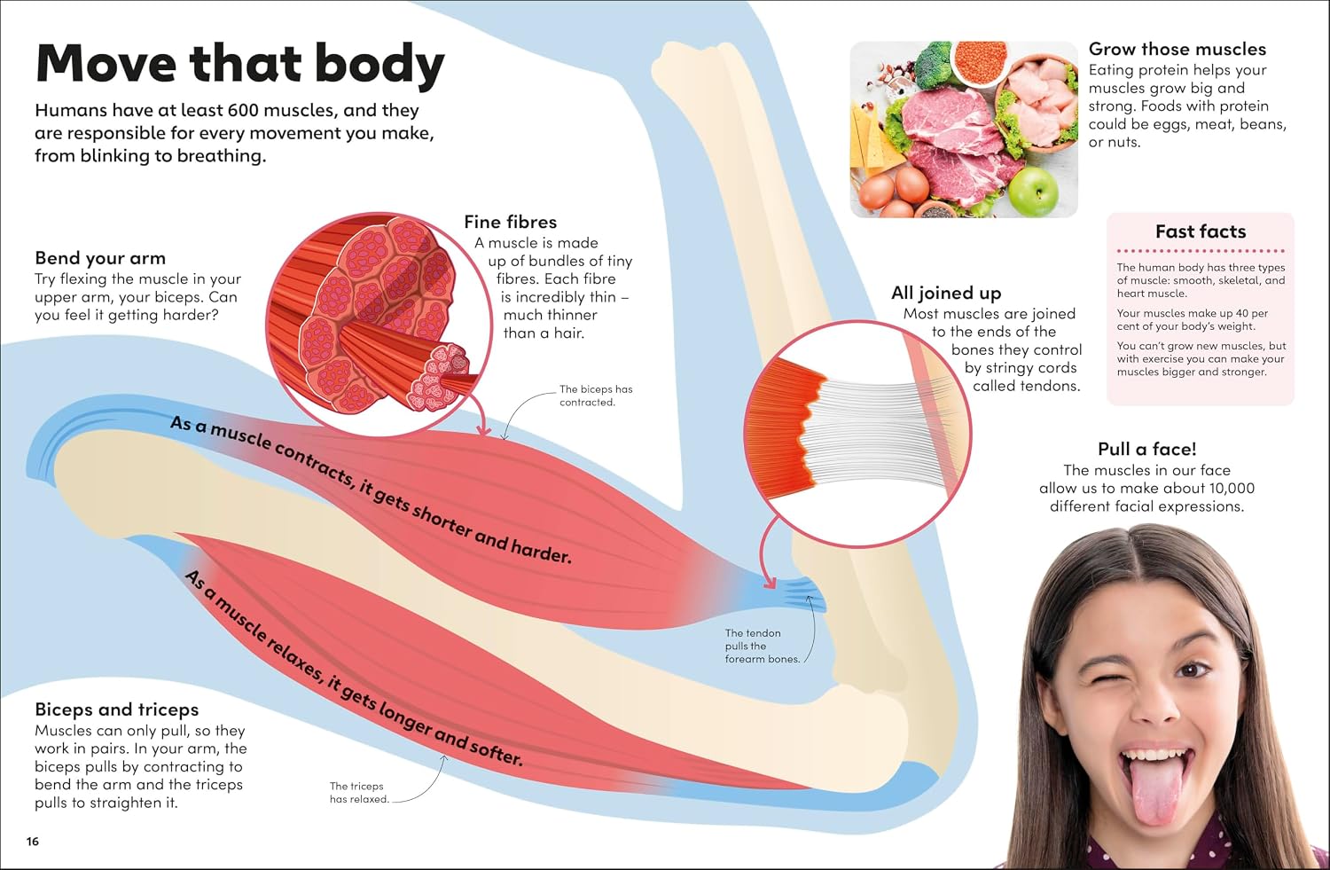 Eyewonder Human Body - thumbnail 3