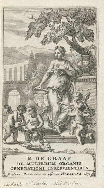 De mulierum organis generationi inservientibus tractatus novus  Title Page 1672