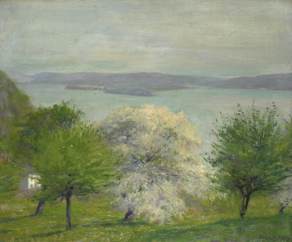 Apple Bloom 1903