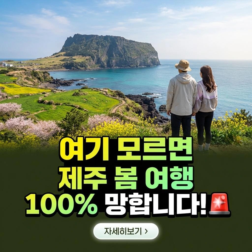 제주 봄 여행 100% 만족! 숨겨진 명소 & 실속 꿀팁